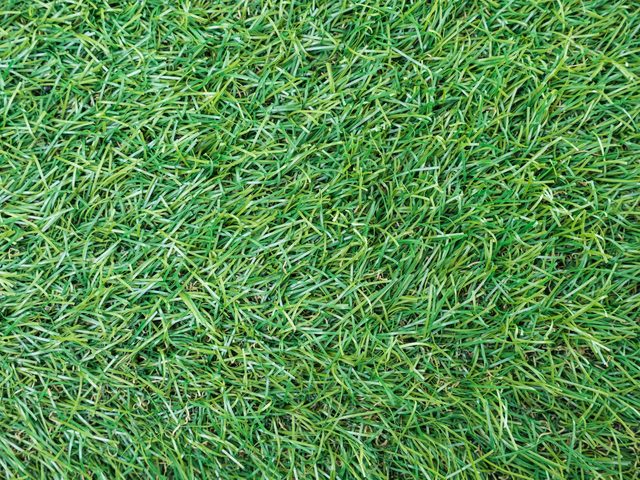 Artificial grass seen from above