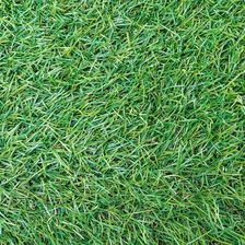 Artificial grass texture