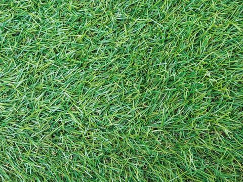 Artificial grass seen from above
