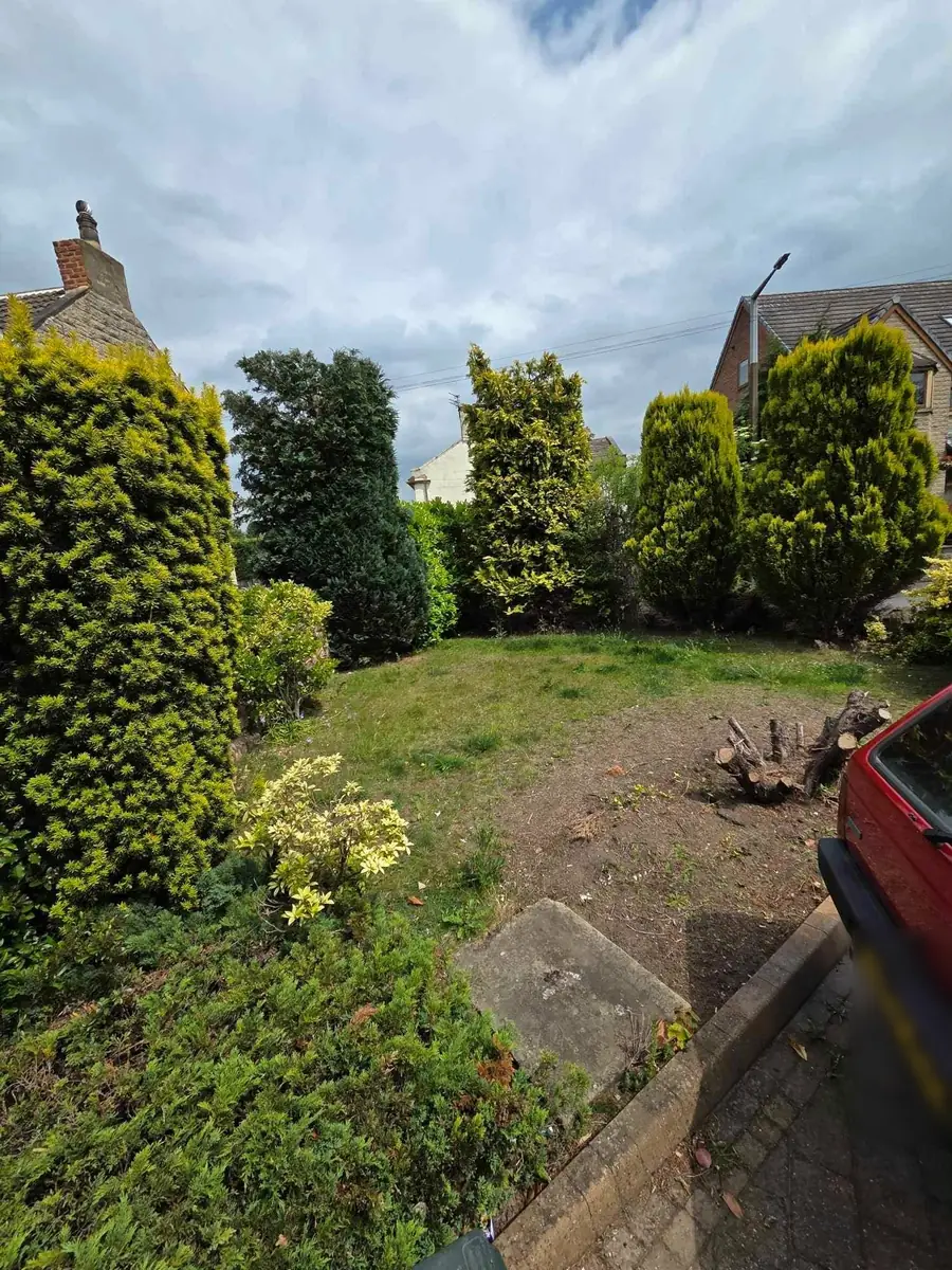 A back garden of worn, uneven grass with conifers along the boundary and a low stone wall at the front