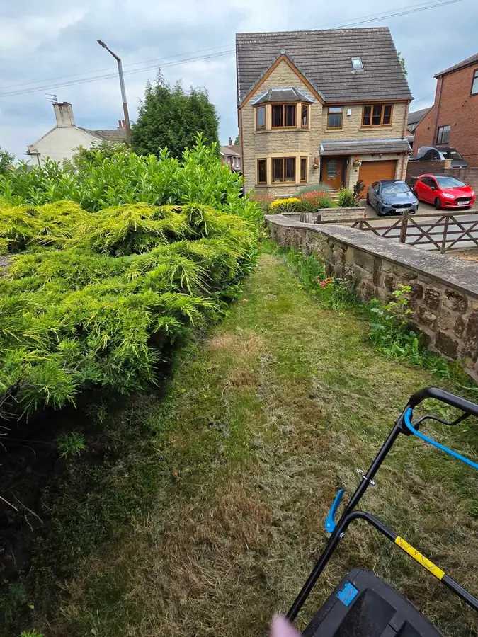 A narrow strip beside a house under long grass, between a low stone wall and a conifer hedge